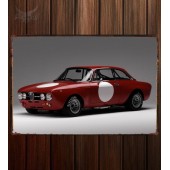 Металлическая табличка Alfa Romeo 1750 GTAm (105)